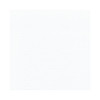 PAPSTAR servetten 40,0 x 40,0 cm 3-laags wit