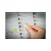 Avery Zweckform 3597 afneembare markeringsstickers, Ø 18 mm, groen, 96 stk.