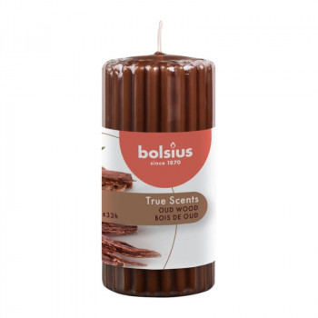 Bolsius True Scents geurkaars cilinder Ø58 x 120 mm, Oud Wood