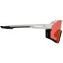 LEATT RideViz Pro Iriz Cryztal fietsbril, zwart/wit