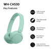 Sony WH-CH530 draadloze Bluetooth-koptelefoon, mintgroen