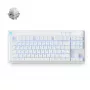Mchose Mix 87 HW-Mix87-7 gamingtoetsenbord, Mount Tai Magnetic Switch GT