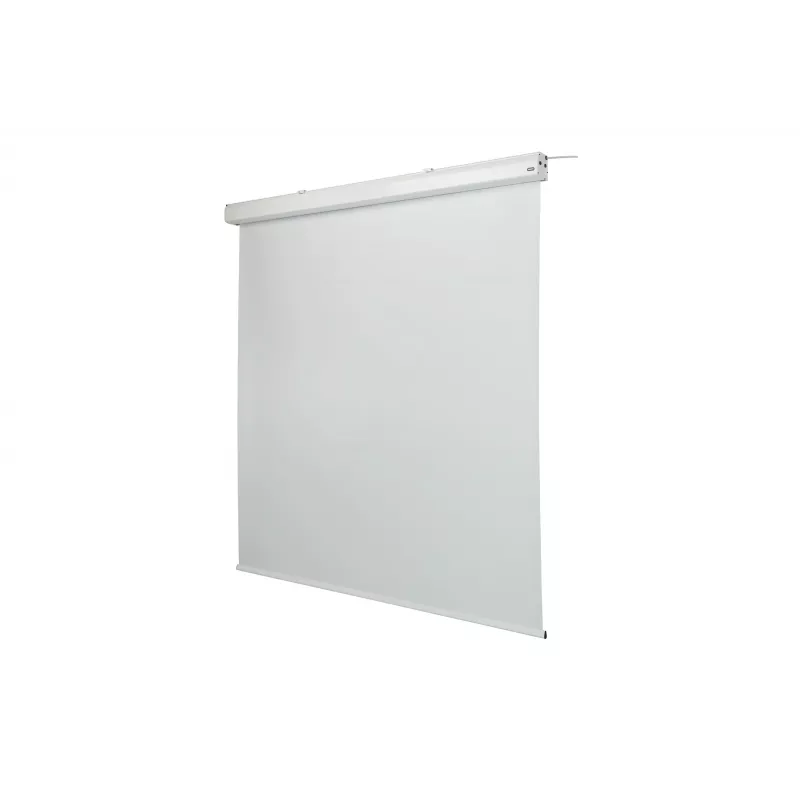 celexon Expert gemotoriseerd projectiescherm, 156" (396 cm), 230 V