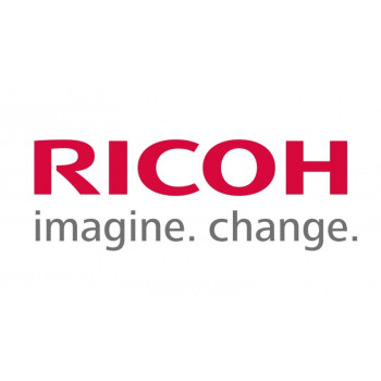 Ricoh P 501H (419084) tonercartridge, zwart, 14.000 pagina's, SPEC