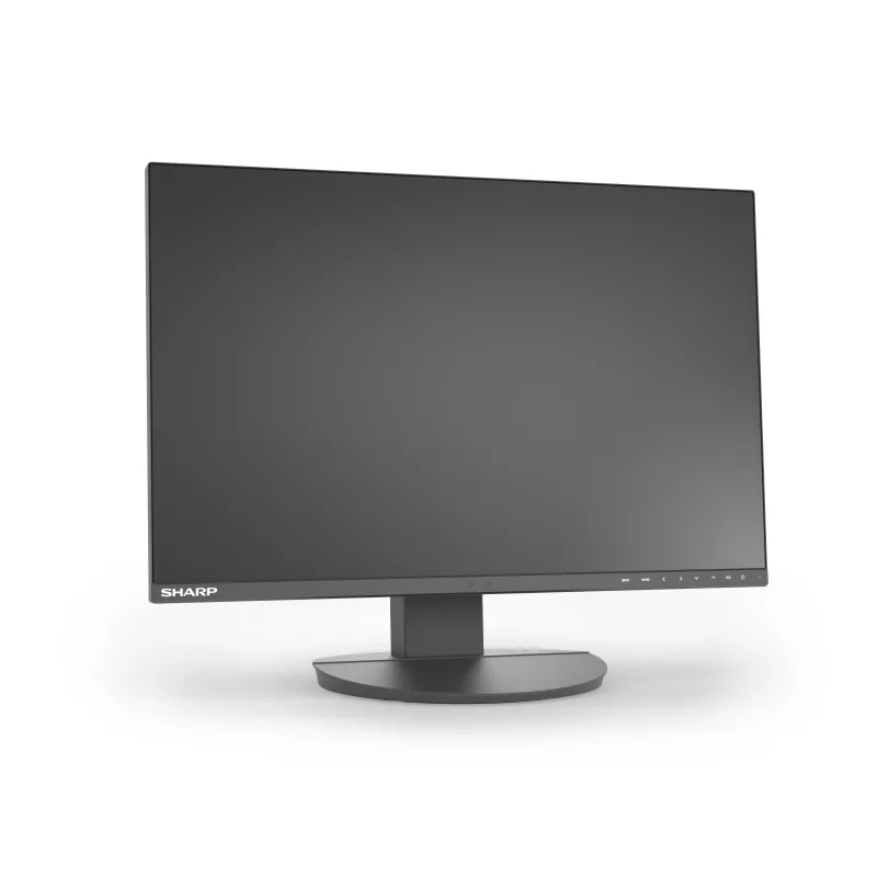 Sharp MultiSync EA241W 24 inch zakelijke IPS-monitor, 1920x1200, zwart