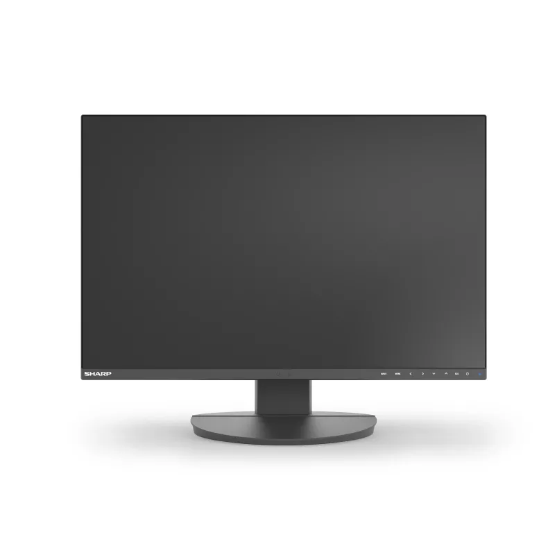 Sharp MultiSync EA241W 24 inch zakelijke IPS-monitor, 1920x1200, zwart
