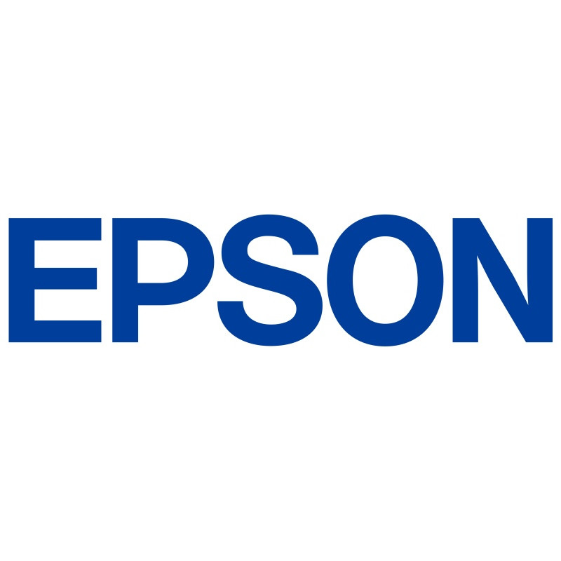 Epson UltraChrome DG2 T55B3 (C13T55B300) 250 ml inktcartridge, magenta