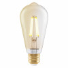 Osram SMART+ MATTER Filament Dimmable Classic Edison 53 824 slimme lamp, goud, E27, 6 W, warmwit, Wi-Fi