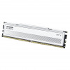 Klevv Fit V KD5AGU880-56K300Q DDR5-5600 CL30 16 GB geheugenmodule