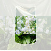Yankee Candle Clean Cotton hangende auto-luchtverfrisser