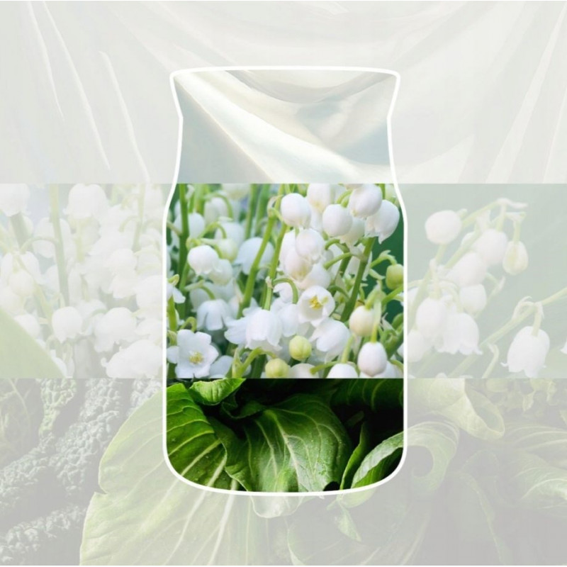 Yankee Candle Clean Cotton hangende auto-luchtverfrisser