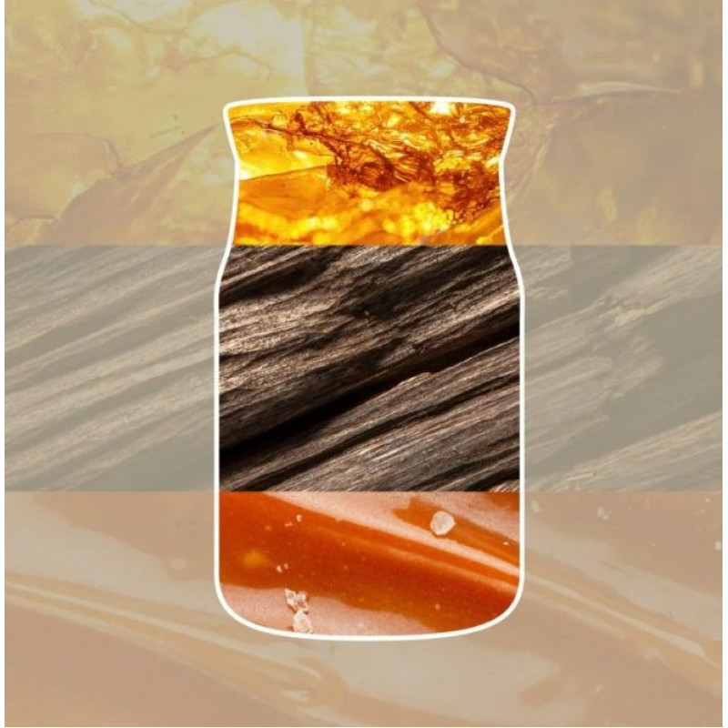 Yankee Candle Amber & Sandalwood kleine kaars