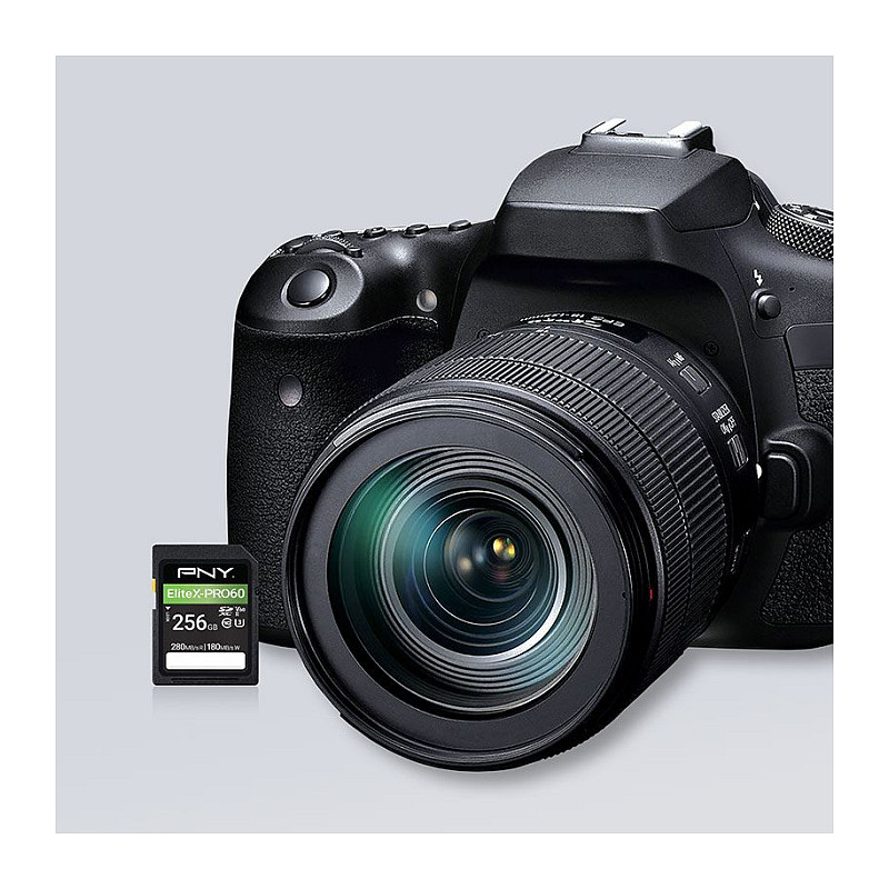 PNY EliteX-PRO60 SDXC-geheugenkaart 256 GB, UHS-II, Class 10, P-SD256V60280EXP6-GE