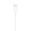 Tech-Protect Ultraboost Core G2 USB-C bedrade oordopjes, zwart