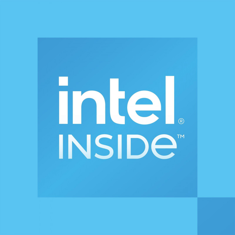 Intel Processor 300 voor desktop, 3,9 GHz, 2 cores, 4 threads, 6 MB cache, FCLGA1700, OEM (CM8071505091904)