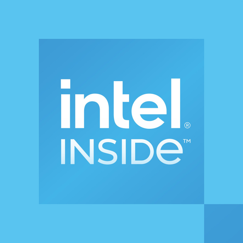 Intel Processor 300 voor desktop, 3,9 GHz, 2 cores, 4 threads, 6 MB cache, FCLGA1700, OEM (CM8071505091904)