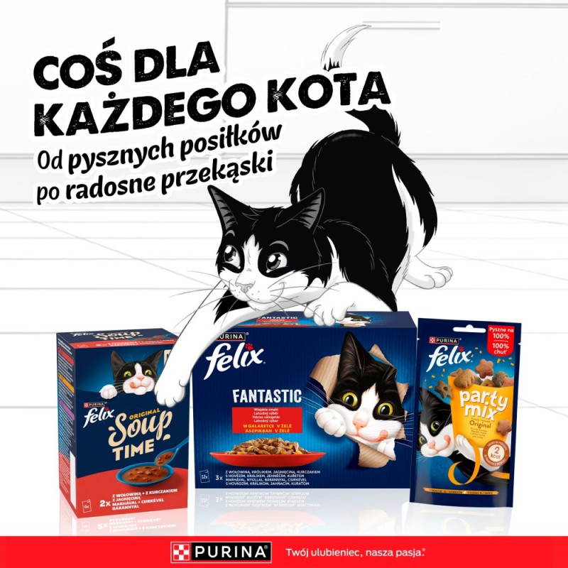 Purina Felix Agail Kattenvoer, Rundvlees, 44 x 85 g