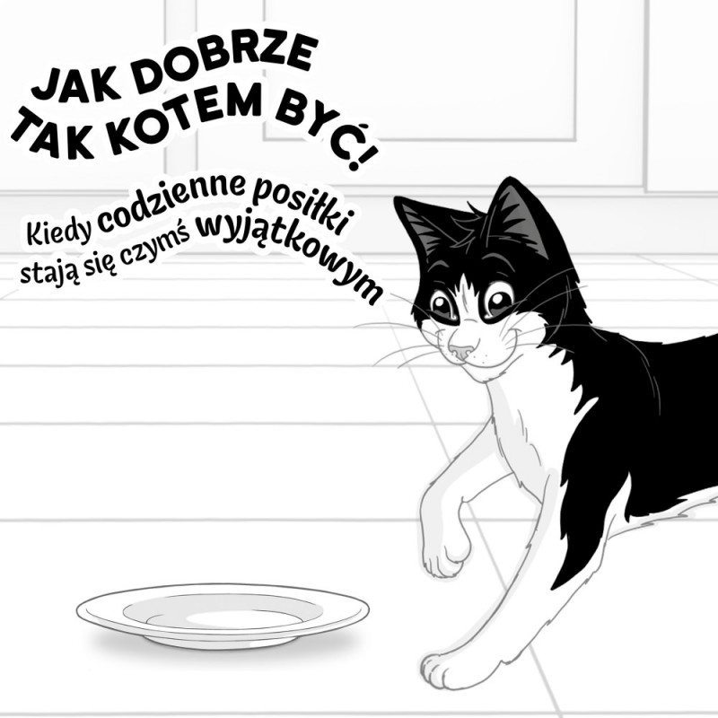 Purina Felix Agail Kattenvoer, Rundvlees, 44 x 85 g