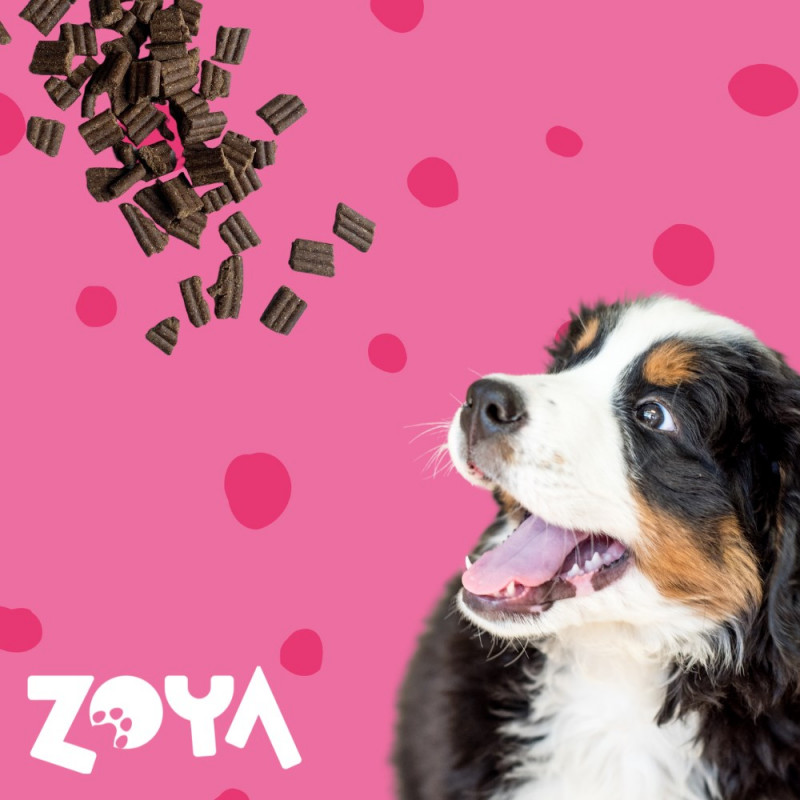 ZOYA ColdPRO Beef droogvoer voor honden, 1 kg