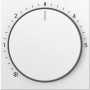 Gira Afdekking 270227, System 55, Zuiver Wit, Satin Matt