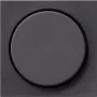 Gira 065028 Dimmerafdekking System 55, Standard 55, E2, Event, Event Clear, Event Opaque, Esprit, ClassiX, Antraciet