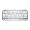 Logitech Master Series MX Keys Mini voor Mac-toetsenbord (920-012647)