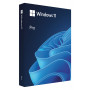 Microsoft Windows 11 Pro BOX, 64-bit, Pools, USB-flashstation (HAV-00209)