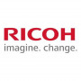 Ricoh D0BN2243 Developer Geel