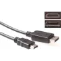 ACT DisplayPort naar HDMI conversiekabel 1m 4K@30Hz goudgecoate aansluitingen AK3988