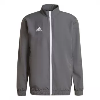 adidas Entrada 22 presentatiejas Team Grey Four M