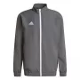 adidas Entrada 22 presentatiejas Team Grey Four M