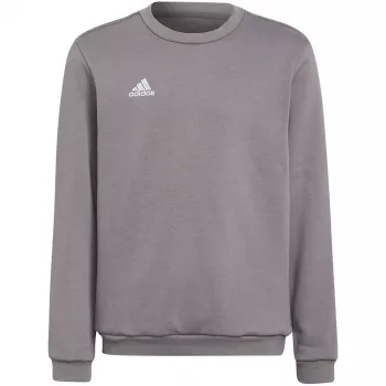 adidas Entrada 22 sweatshirt grijs jeugd 140 cm