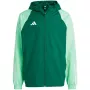 adidas Tiro 23 Competition All Weather herenjack groen IC4570