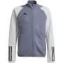 adidas Tiro 23 Competition trainingssweatshirt grijs HP1909