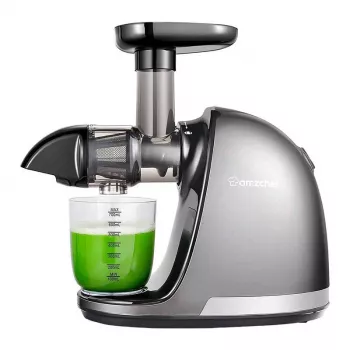 AMZCHEF 1501-GA Slow Juicer (grijs)