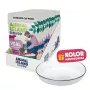 ANIMAL ISLAND NEW JELLY EVERYDAY 12x85g + voerbak