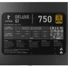 APNX DELUXE G1 750 (zwart, 750 watt)