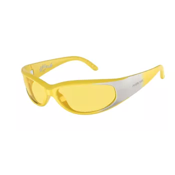 ARNETTE unisex zonnebril AN4302-281685 mat zwart montuur donkergrijze glazen 62/16/125 mm