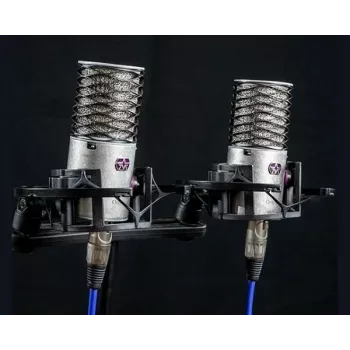 Aston Microphones Origin stereo paar condensator