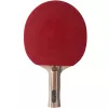 Atemi 3000 Pro concaaf tafeltennisracket