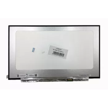 AUO beeldscherm 17,3 inch, 1920x1080, 60Hz, mat, 30-pins, rechts, IPS