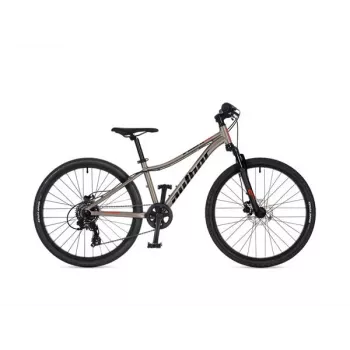 Author A-Matrix 24D 24-inch kinderfiets, Titanium Matte/Black Matte, 2026
