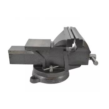 AWTOOLS AW24207 bankschroef met draaivoet 100mm gietijzer met aambeeld