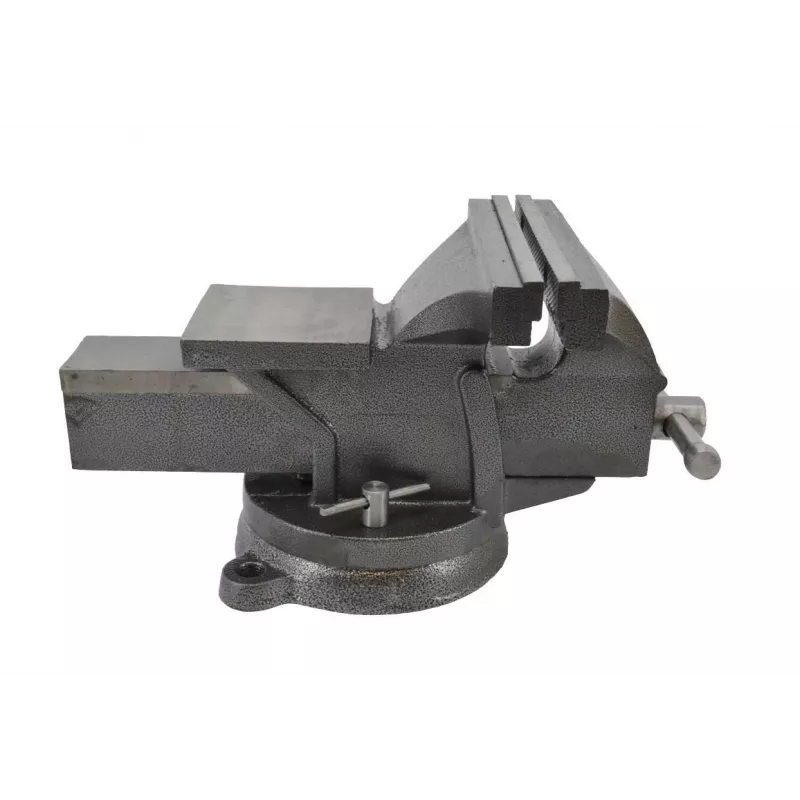 AWTOOLS AW24207 bankschroef met draaivoet 100mm gietijzer met aambeeld