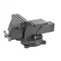 AWTOOLS AW24207 bankschroef met draaivoet 100mm gietijzer met aambeeld