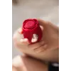Beautifly Rose Glow Pleaser Self Love rode vibrator