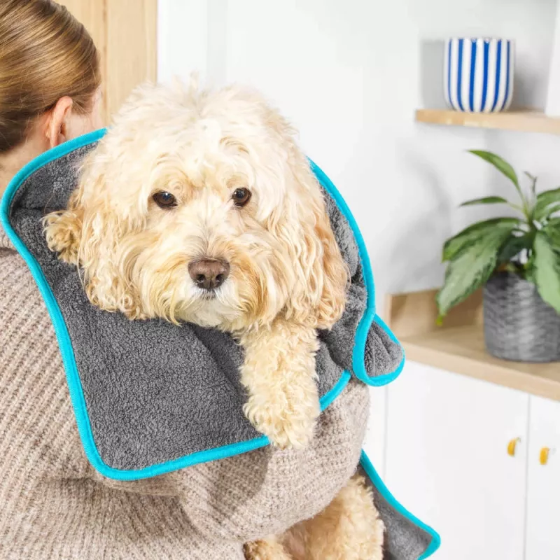 Beldray LA036157UFEU7 Anti-bac huisdierendroogdoek - grijs