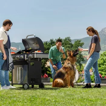 Black+Decker BXOG12950E Gasbarbecue, 3 branders
