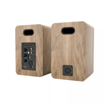 Blaupunkt BS50OK 2-weg vloerluidspreker 50W RMS bruin