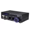 Blitzwolf AS-22 audioversterker, 45 W, bluetooth 5.0, USB + afstandsbediening (zwart)